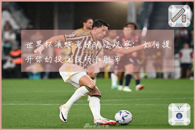 世界杯滚球竞猜玩法观察：如何提升你的投注技巧和胜率