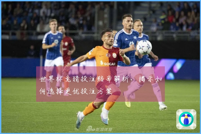 世界杯竞猜投注赔率解析，揭示如何选择更优投注方案