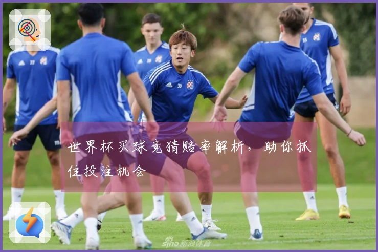 世界杯买球竞猜赔率解析，助你抓住投注机会
