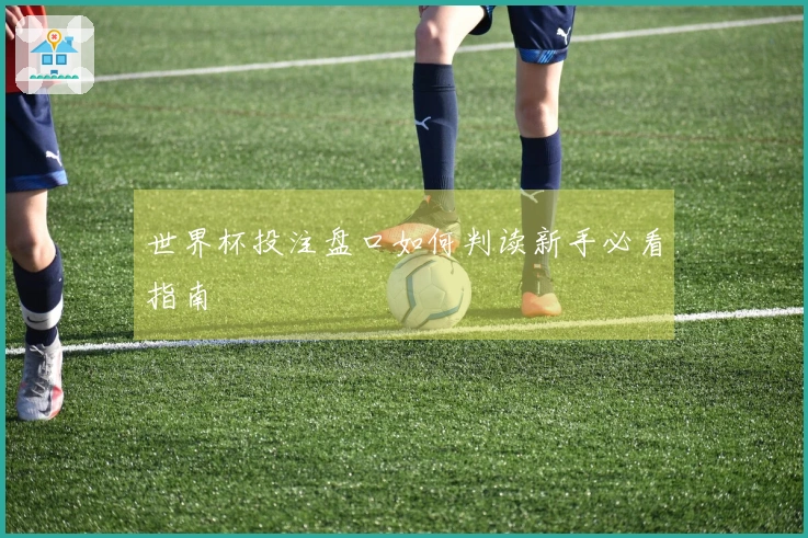 世界杯投注盘口如何判读新手必看指南