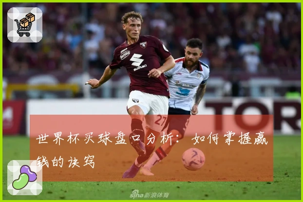 世界杯买球盘口分析：如何掌握赢钱的诀窍