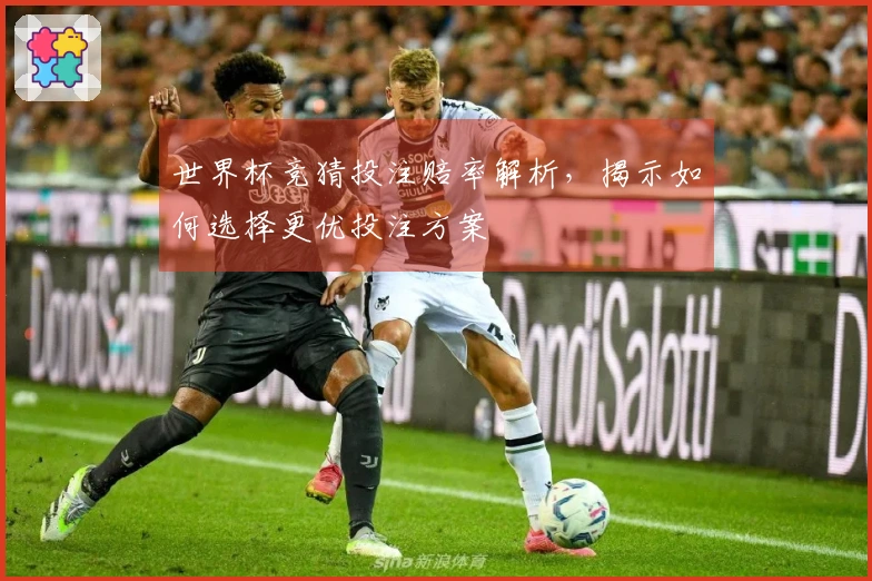 世界杯竞猜投注赔率解析，揭示如何选择更优投注方案