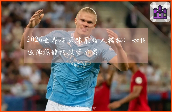 2026世界杯买球策略大揭秘：如何选择稳健的投资方案